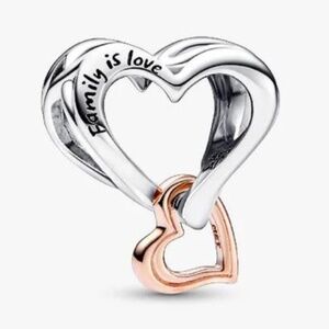 Pandora Two-tone Openwork Infinity Heart Charm